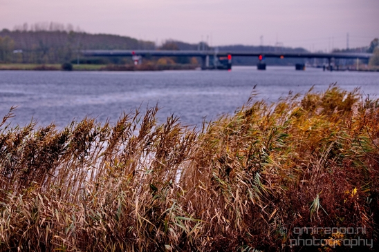 Autumn_north_holland_landscape_nature_nederland_Photography_106_Canon_EOS_5D_Mark_IV.JPG