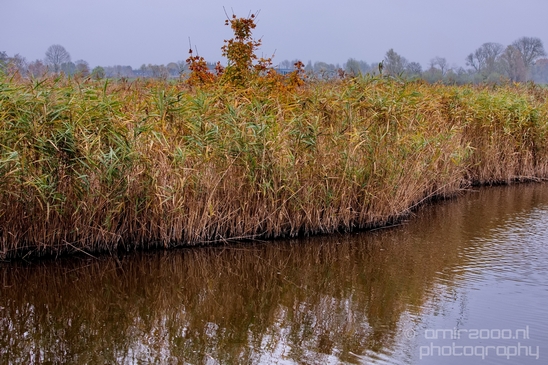 Autumn_north_holland_landscape_nature_nederland_Photography_109_Canon_EOS_5D_Mark_IV.JPG