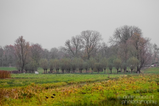 Autumn_north_holland_landscape_nature_nederland_Photography_110_Canon_EOS_5D_Mark_IV.JPG