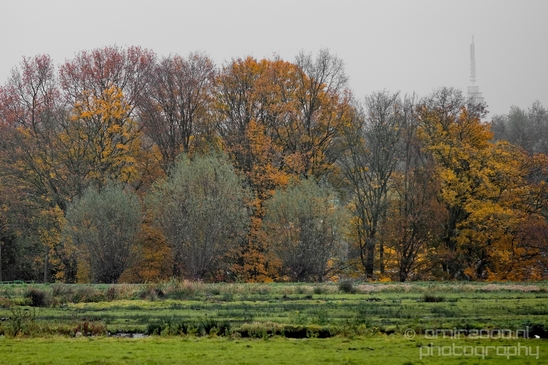 Autumn_north_holland_landscape_nature_nederland_Photography_111_Canon_EOS_5D_Mark_IV.JPG