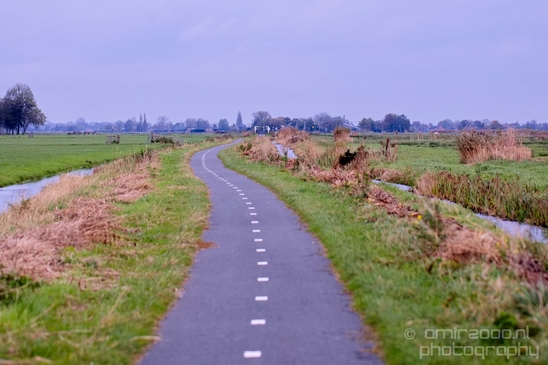 Autumn_north_holland_landscape_nature_nederland_Photography_113_Canon_EOS_5D_Mark_IV.JPG