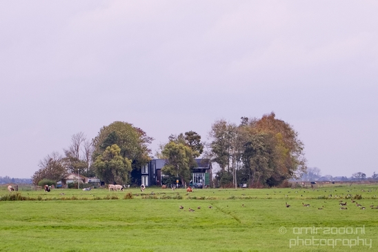 Autumn_north_holland_landscape_nature_nederland_Photography_114_Canon_EOS_5D_Mark_IV.JPG