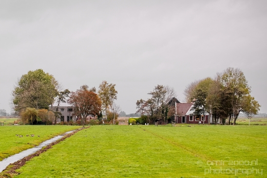 Autumn_north_holland_landscape_nature_nederland_Photography_116_Canon_EOS_5D_Mark_IV.JPG