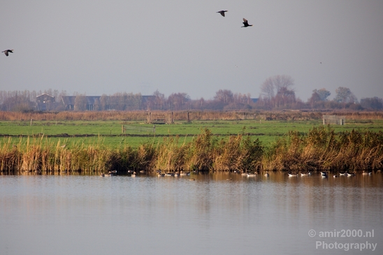 Autumn_north_holland_landscape_nature_nederland_Photography_118_Canon_EOS_5D_Mark_IV.JPG