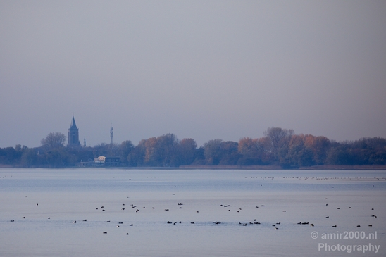 Autumn_north_holland_landscape_nature_nederland_Photography_132_Canon_EOS_5D_Mark_IV.JPG