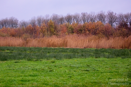 Autumn_north_holland_landscape_nature_nederland_Photography_144_Canon_EOS_5D_Mark_IV.JPG