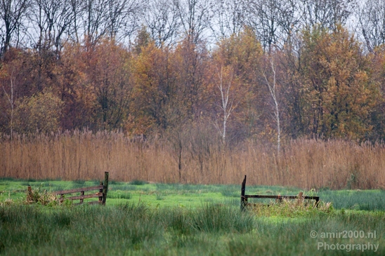 Autumn_north_holland_landscape_nature_nederland_Photography_149_Canon_EOS_5D_Mark_IV.JPG