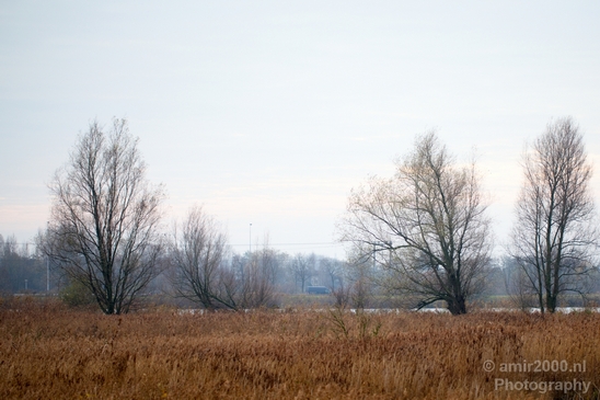 Autumn_north_holland_landscape_nature_nederland_Photography_158_Canon_EOS_5D_Mark_IV.JPG