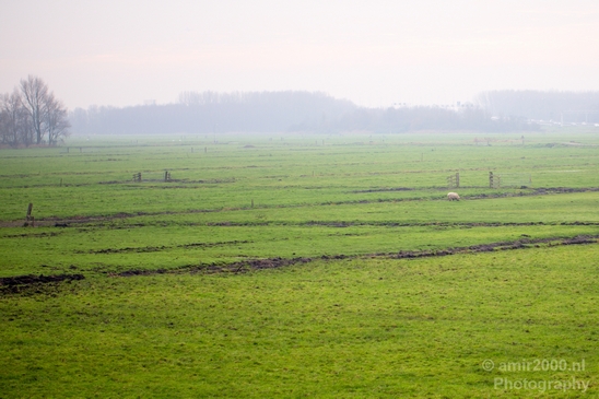 Autumn_north_holland_landscape_nature_nederland_Photography_166_Canon_EOS_5D_Mark_IV.JPG