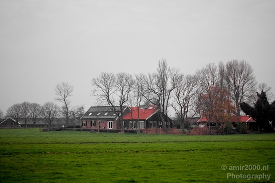 Autumn_north_holland_landscape_nature_nederland_Photography_168_Canon_EOS_5D_Mark_IV.JPG