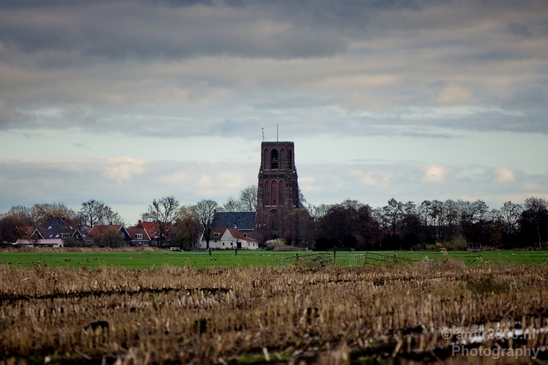Autumn_north_holland_landscape_nature_nederland_Photography_180_Canon_EOS_5D_Mark_IV.JPG