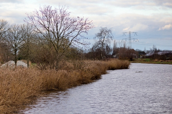 Autumn_north_holland_landscape_nature_nederland_Photography_185_Canon_EOS_5D_Mark_IV.JPG
