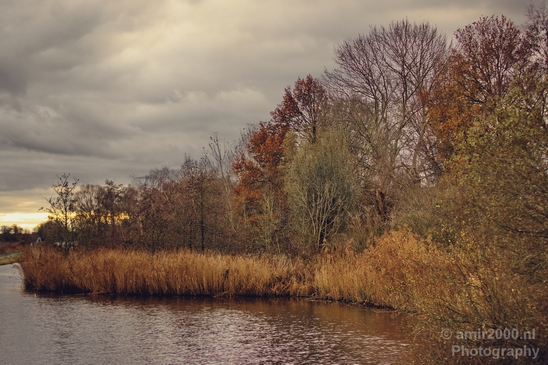 Autumn_north_holland_landscape_nature_nederland_Photography_188_Canon_EOS_5D_Mark_IV.JPG