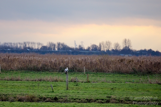 Autumn_north_holland_landscape_nature_nederland_Photography_190_Canon_EOS_5D_Mark_IV.JPG