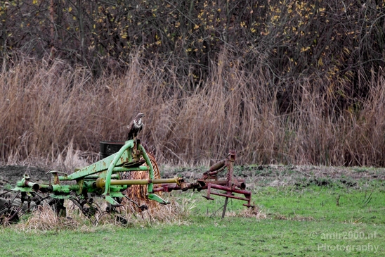 Autumn_north_holland_landscape_nature_nederland_Photography_192_Canon_EOS_5D_Mark_IV.JPG