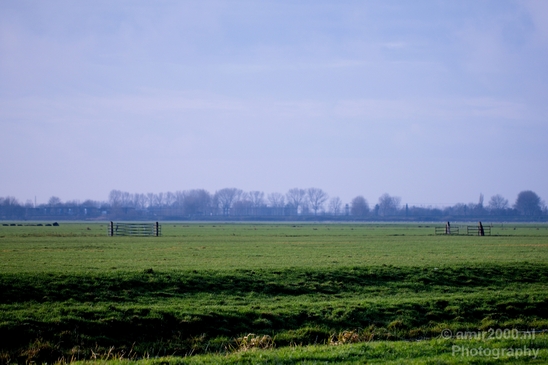 Autumn_north_holland_landscape_nature_nederland_Photography_196_Canon_EOS_5D_Mark_IV.JPG