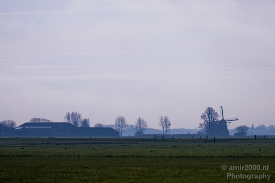 Autumn_north_holland_landscape_nature_nederland_Photography_198_Canon_EOS_5D_Mark_IV.JPG
