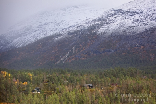 Bergen_to_Oslo_Norway_on_a_train_scenic_rail_route_landscape_Photography_012_Canon_EOS_5D_Mark_IV.JPG