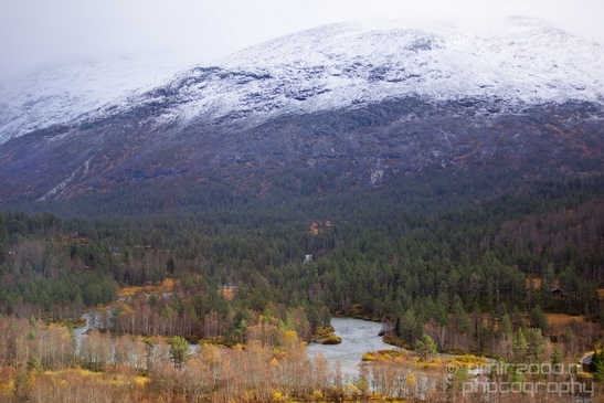 Bergen_to_Oslo_Norway_on_a_train_scenic_rail_route_landscape_Photography_013_Canon_EOS_5D_Mark_IV.JPG
