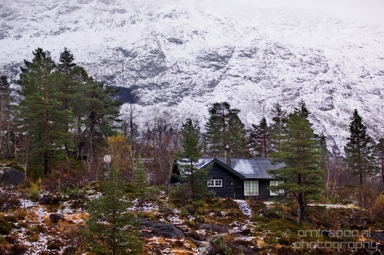 Bergen_to_Oslo_Norway_on_a_train_scenic_rail_route_landscape_Photography_014_Canon_EOS_5D_Mark_IV.JPG