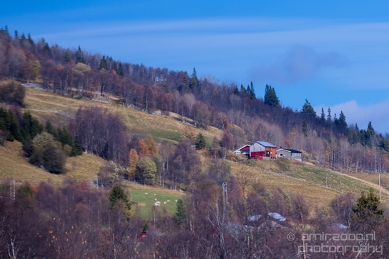 Bergen_to_Oslo_Norway_on_a_train_scenic_rail_route_landscape_Photography_018_Canon_EOS_5D_Mark_IV.JPG