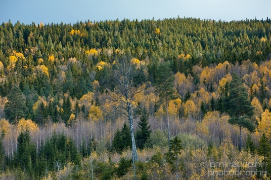 Bergen_to_Oslo_Norway_on_a_train_scenic_rail_route_landscape_Photography_023_Canon_EOS_5D_Mark_IV.JPG