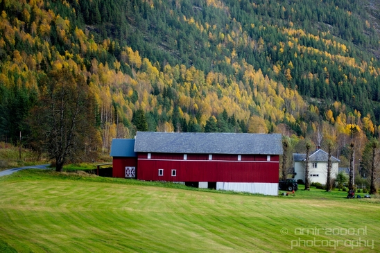 Bergen_to_Oslo_Norway_on_a_train_scenic_rail_route_landscape_Photography_030_Canon_EOS_5D_Mark_IV.JPG