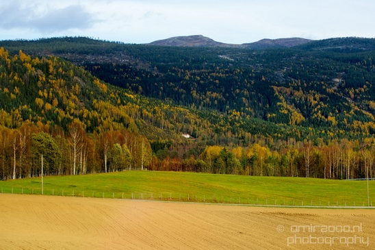 Bergen_to_Oslo_Norway_on_a_train_scenic_rail_route_landscape_Photography_031_Canon_EOS_5D_Mark_IV.JPG