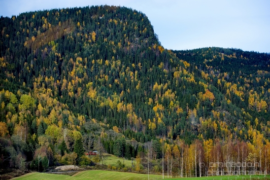 Bergen_to_Oslo_Norway_on_a_train_scenic_rail_route_landscape_Photography_032_Canon_EOS_5D_Mark_IV.JPG