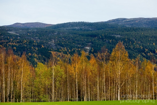 Bergen_to_Oslo_Norway_on_a_train_scenic_rail_route_landscape_Photography_033_Canon_EOS_5D_Mark_IV.JPG
