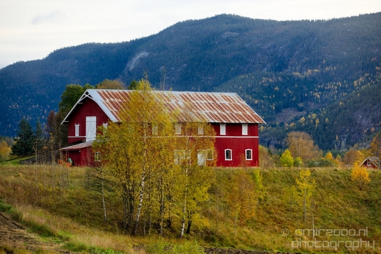 Bergen_to_Oslo_Norway_on_a_train_scenic_rail_route_landscape_Photography_034_Canon_EOS_5D_Mark_IV.JPG