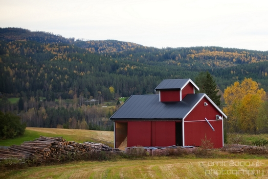 Bergen_to_Oslo_Norway_on_a_train_scenic_rail_route_landscape_Photography_036_Canon_EOS_5D_Mark_IV.JPG