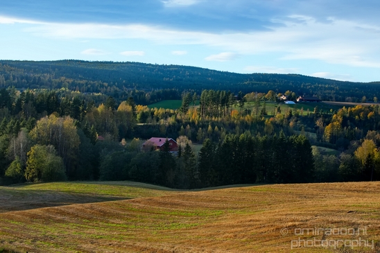 Bergen_to_Oslo_Norway_on_a_train_scenic_rail_route_landscape_Photography_038_Canon_EOS_5D_Mark_IV.JPG