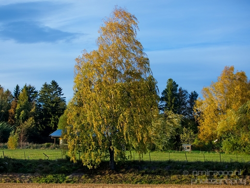 Bergen_to_Oslo_Norway_on_a_train_scenic_rail_route_landscape_Photography_039_Canon_EOS_5D_Mark_IV.JPG