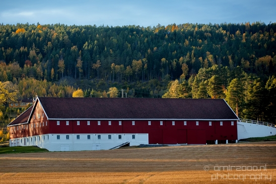 Bergen_to_Oslo_Norway_on_a_train_scenic_rail_route_landscape_Photography_041_Canon_EOS_5D_Mark_IV.JPG