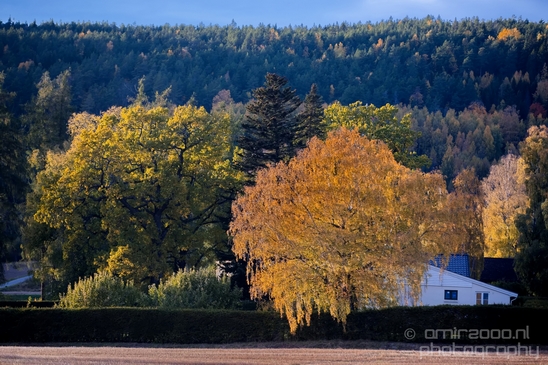 Bergen_to_Oslo_Norway_on_a_train_scenic_rail_route_landscape_Photography_042_Canon_EOS_5D_Mark_IV.JPG