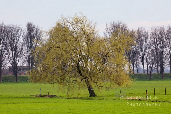 Broekzijdse_Molen_Driemond_between_Utrecht_and-_North_Holland_landscape_city_nederland_Netherlands_Photography_002_Canon_EOS_5D_Mark_IV.JPG