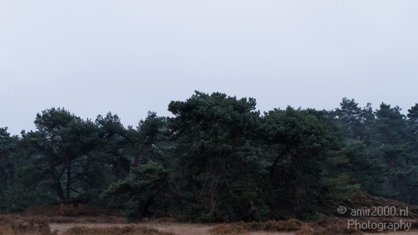 De_Hoge_Veluwe_Autumn_Nature_Landscape_Photography_006_Canon_EOS_7D.JPG