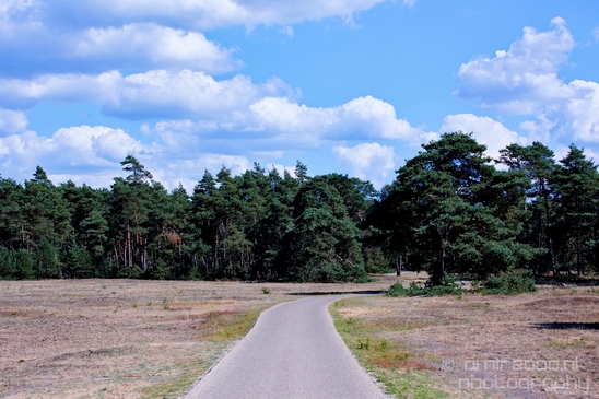 De_Hoge_Veluwe_National_Park_Gelderland_Nederland_Dutch_nature_landscape_Photography_004_Canon_EOS_5D_Mark_IV.JPG