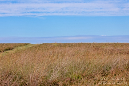 De_Hoge_Veluwe_National_Park_Gelderland_Nederland_Dutch_nature_landscape_Photography_063_Canon_EOS_5D_Mark_IV.JPG