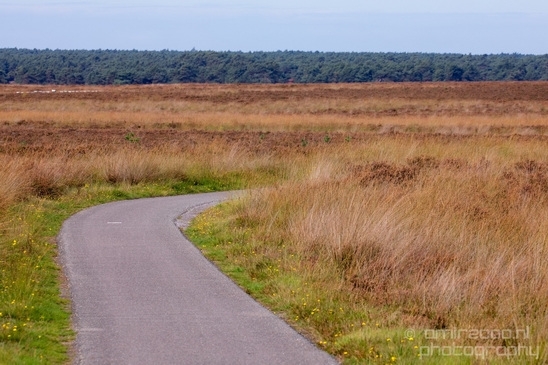 De_Hoge_Veluwe_National_Park_Gelderland_Nederland_Dutch_nature_landscape_Photography_068_Canon_EOS_5D_Mark_IV.JPG