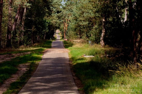 De_Hoge_Veluwe_National_Park_Gelderland_Nederland_Dutch_nature_landscape_Photography_070_Canon_EOS_5D_Mark_IV.JPG