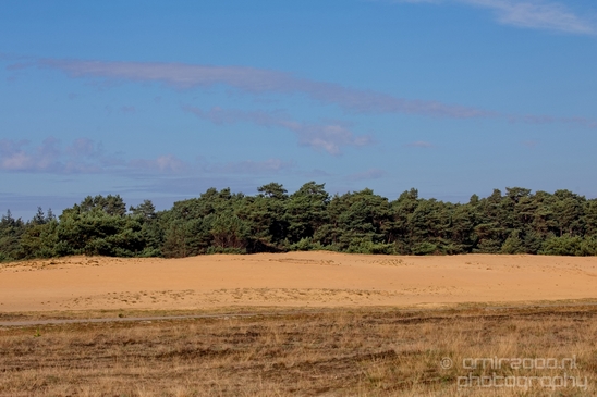 De_Hoge_Veluwe_National_Park_Gelderland_Nederland_Dutch_nature_landscape_Photography_081_Canon_EOS_5D_Mark_IV.JPG