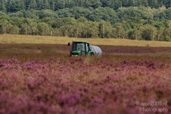 De_Hoge_Veluwe_Nature_Landscape_Photography_009_Canon_EOS_7D.JPG