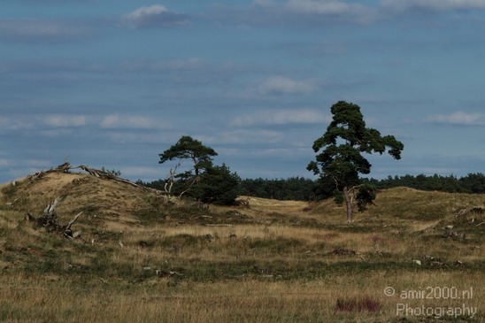 De_Hoge_Veluwe_Nature_Landscape_Photography_012_Canon_EOS_7D.JPG