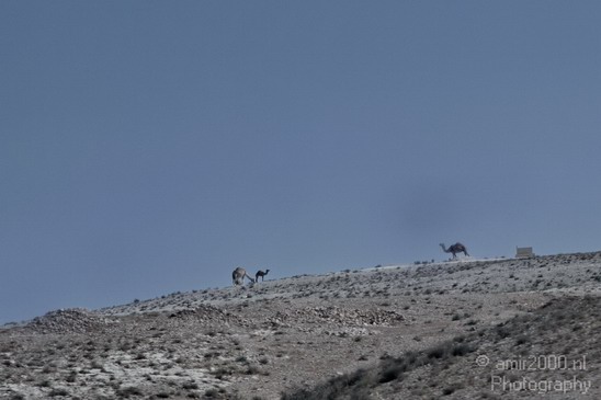 Dead_Sea_Nature_Landscape_Photography_001_Canon_EOS_7D.JPG