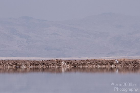 Dead_Sea_Nature_Landscape_Photography_018_Canon_EOS_7D.JPG