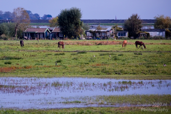 Durgerdam_north_holland_landscape_nederland_Photography_012_Canon_EOS_5D_Mark_IV.JPG