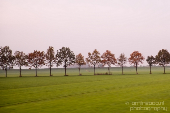 Dutch_automn_colors_fall_herfst_in_Nederland_nature_Landscape_Photography_001_Canon_EOS_5D_Mark_IV.JPG
