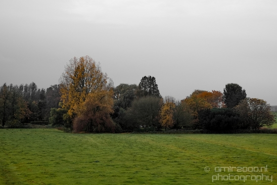 Dutch_automn_colors_fall_herfst_in_Nederland_nature_Landscape_Photography_002_Canon_EOS_5D_Mark_IV.JPG